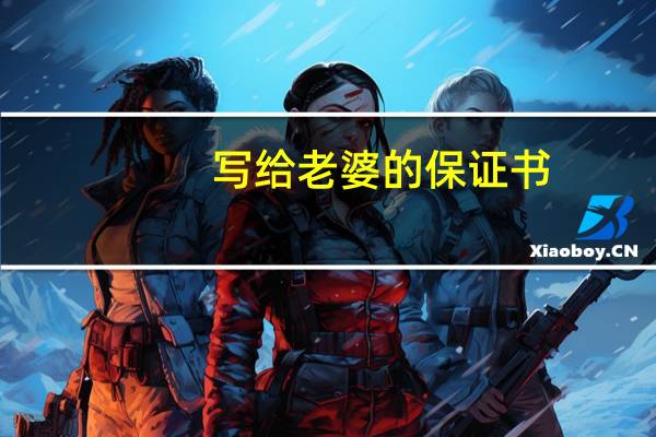 写给老婆的保证书