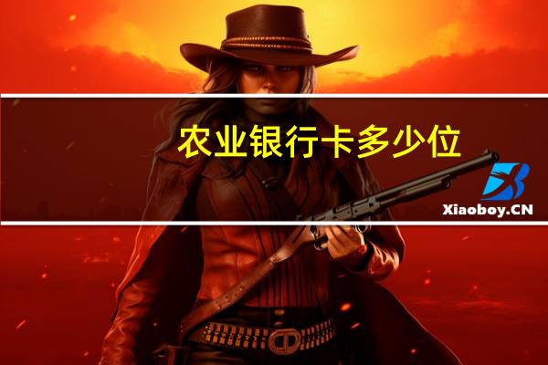 农业银行卡多少位