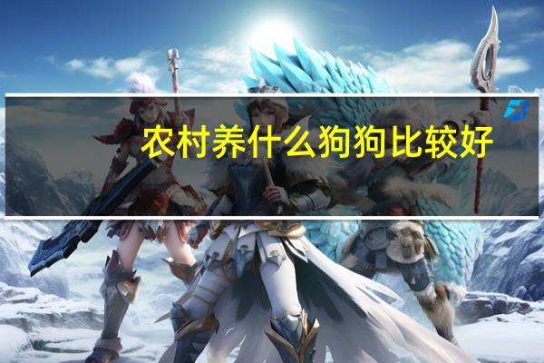 农村养什么狗狗比较好