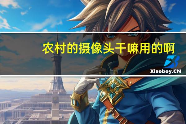 农村的摄像头干嘛用的啊