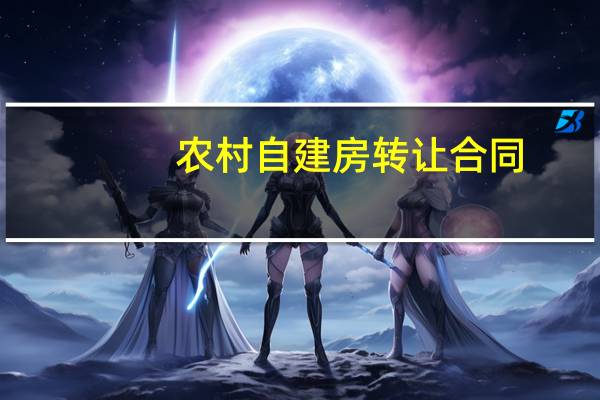 农村自建房转让合同
