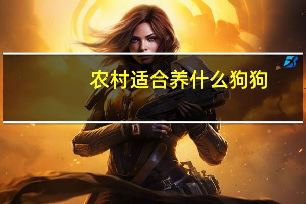 农村适合养什么狗狗