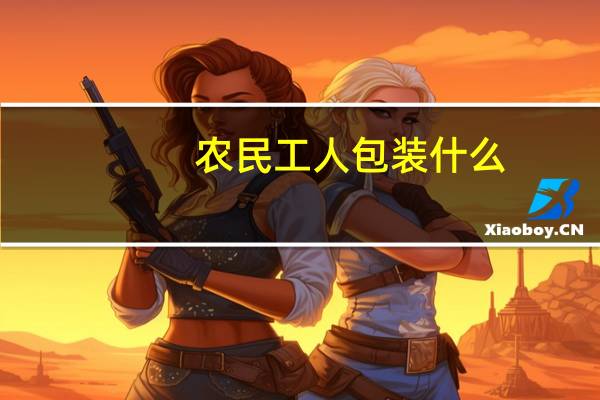 农民工人包装什么