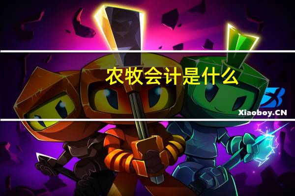 农牧会计是什么