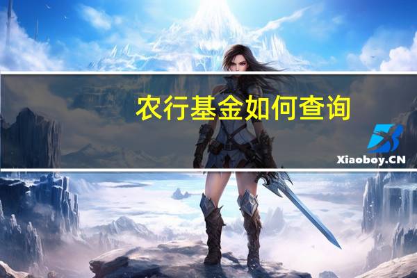农行基金如何查询