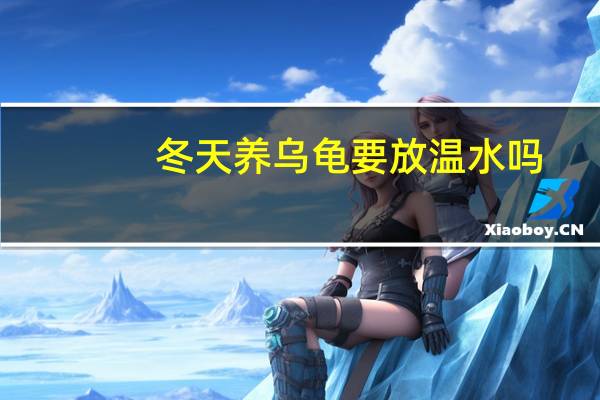 冬天养乌龟要放温水吗