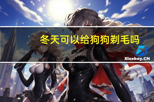 冬天可以给狗狗剃毛吗