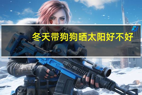 冬天带狗狗晒太阳好不好