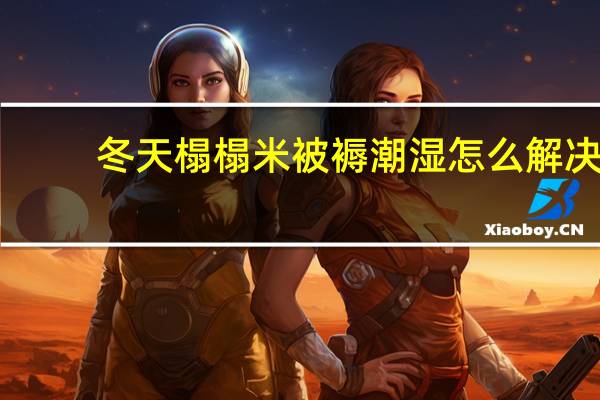 冬天榻榻米被褥潮湿怎么解决