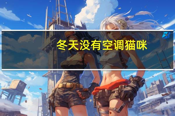 冬天没有空调猫咪