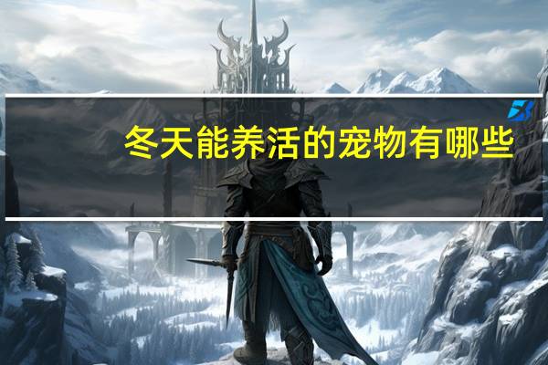 冬天能养活的宠物有哪些