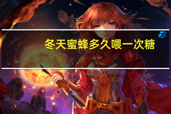 冬天蜜蜂多久喂一次糖