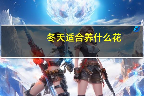 冬天适合养什么花