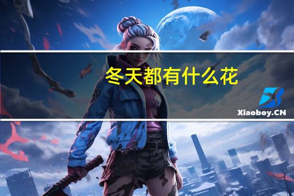 冬天都有什么花