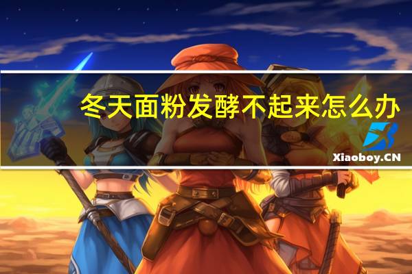 冬天面粉发酵不起来怎么办