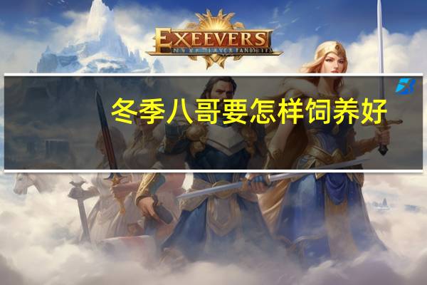 冬季八哥要怎样饲养好