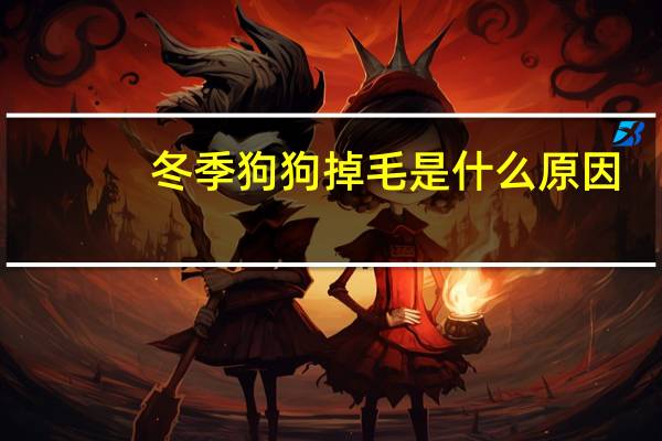 冬季狗狗掉毛是什么原因