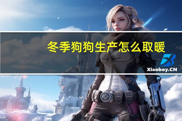 冬季狗狗生产怎么取暖