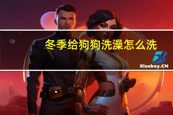 冬季给狗狗洗澡怎么洗