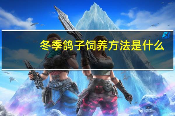 冬季鸽子饲养方法是什么