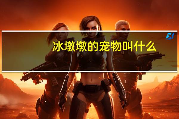 冰墩墩的宠物叫什么