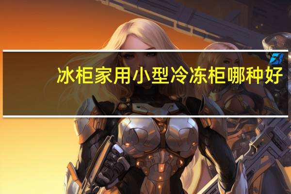 冰柜家用小型冷冻柜哪种好
