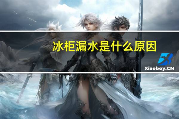 冰柜漏水是什么原因