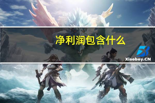 净利润包含什么