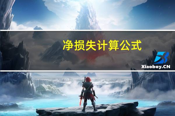 净损失计算公式