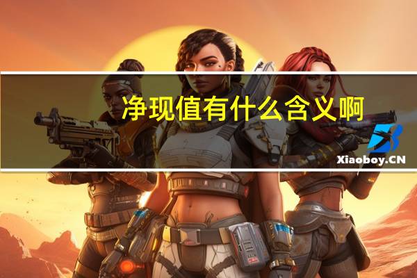 净现值有什么含义啊