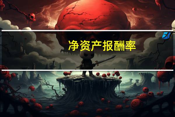 净资产报酬率