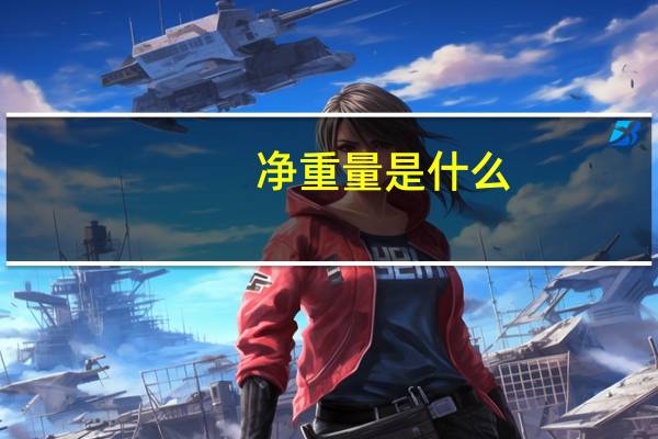净重量是什么