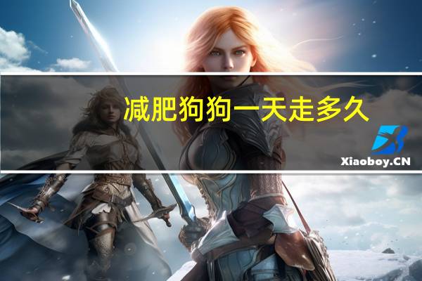 减肥狗狗一天走多久