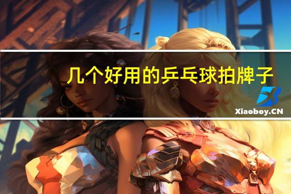 几个好用的乒乓球拍牌子