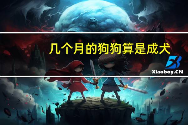 几个月的狗狗算是成犬