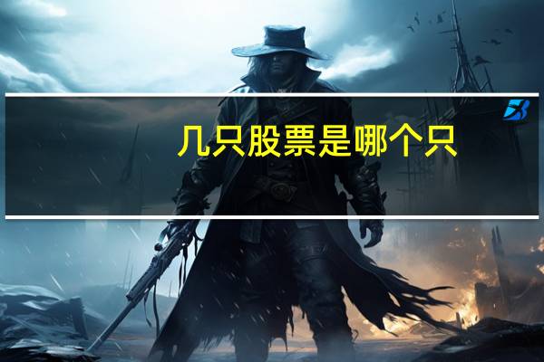 几只股票是哪个只