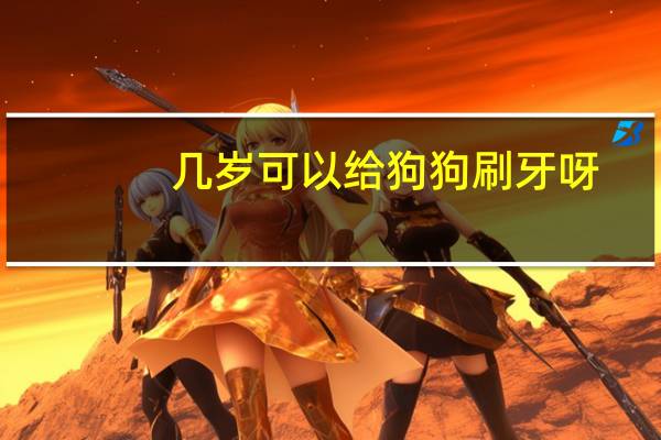 几岁可以给狗狗刷牙呀