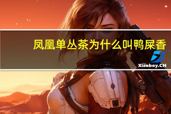 凤凰单丛茶为什么叫鸭屎香