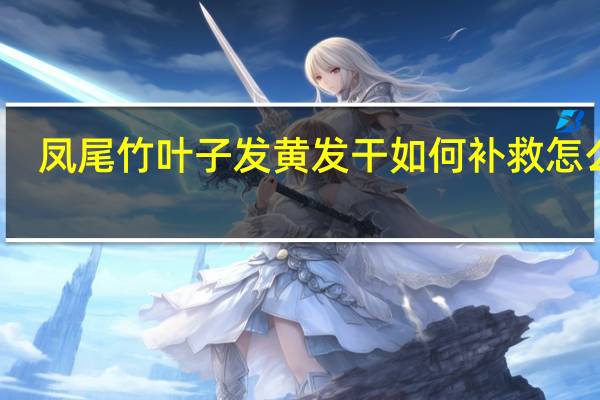 凤尾竹叶子发黄发干如何补救怎么办