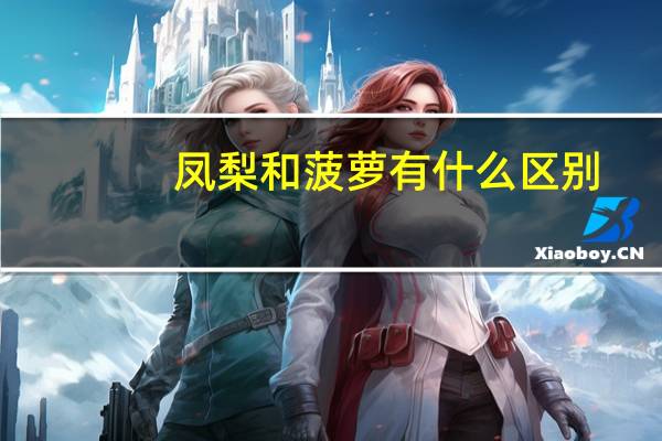 凤梨和菠萝有什么区别