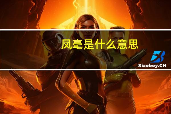 凤毫是什么意思