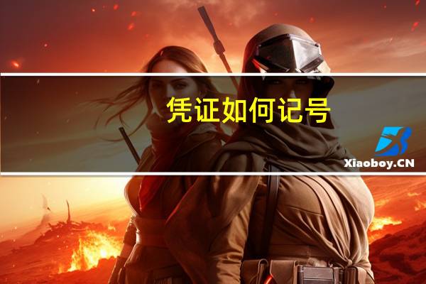 凭证如何记号