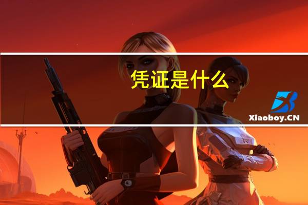 凭证是什么