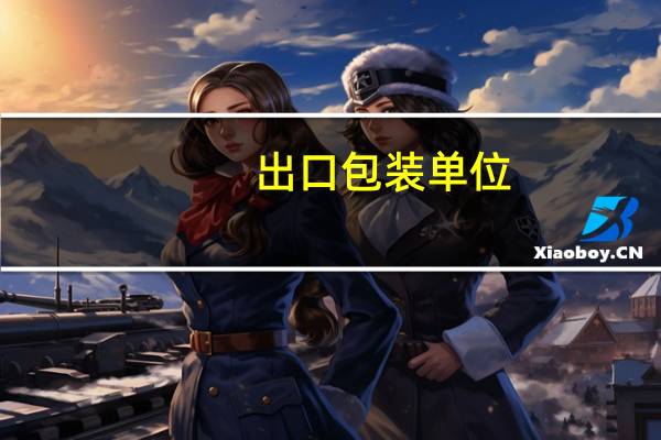 出口包装单位