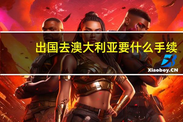 出国去澳大利亚要什么手续