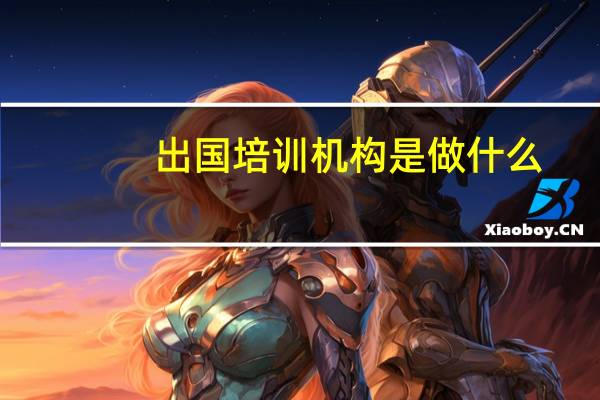 出国培训机构是做什么