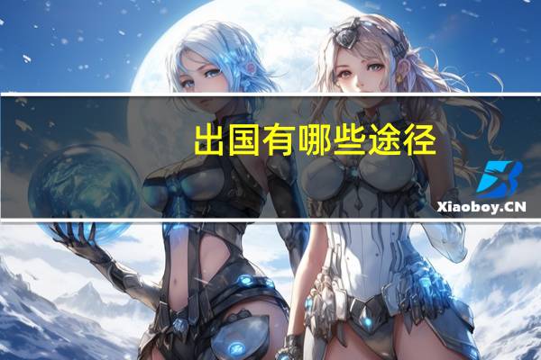 出国有哪些途径