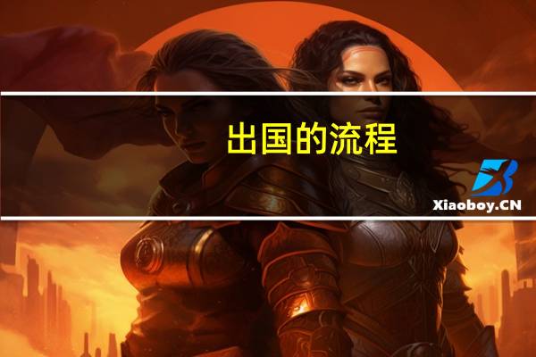 出国的流程