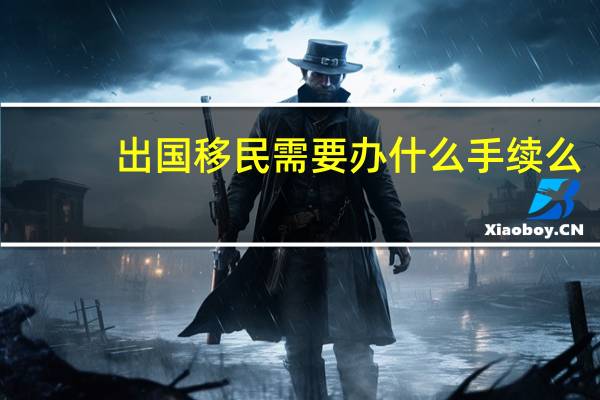 出国移民需要办什么手续么