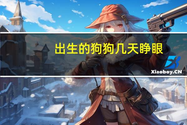 出生的狗狗几天睁眼